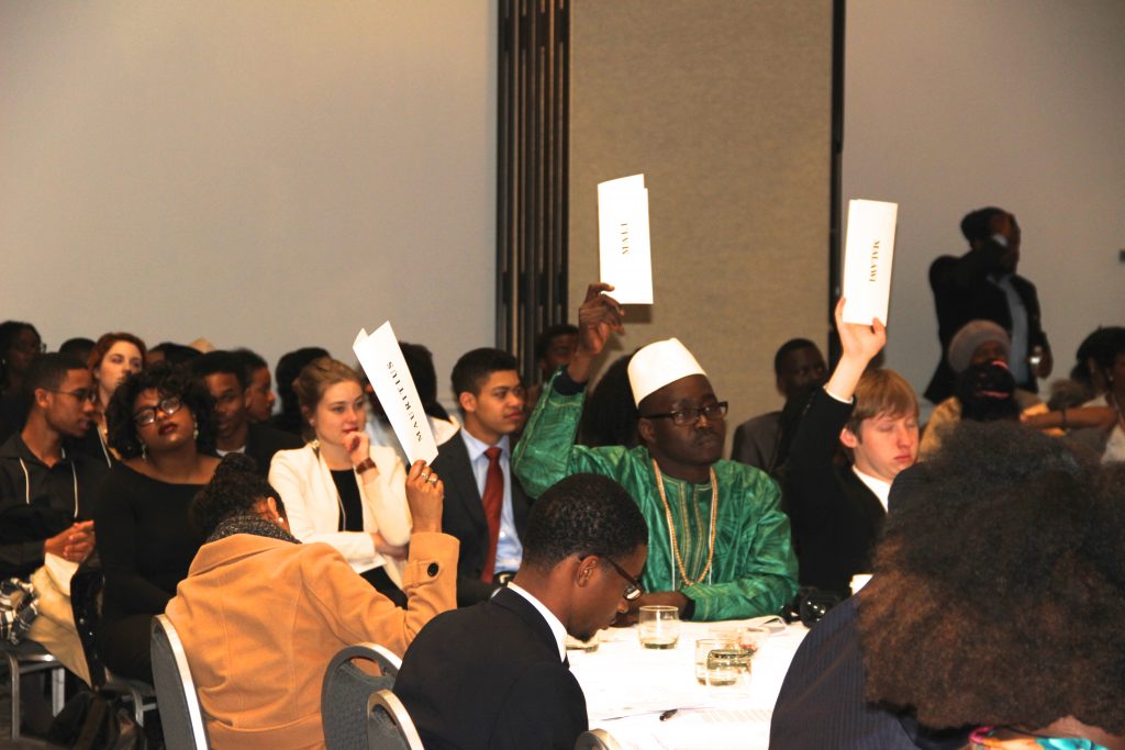 Model African Union Voting